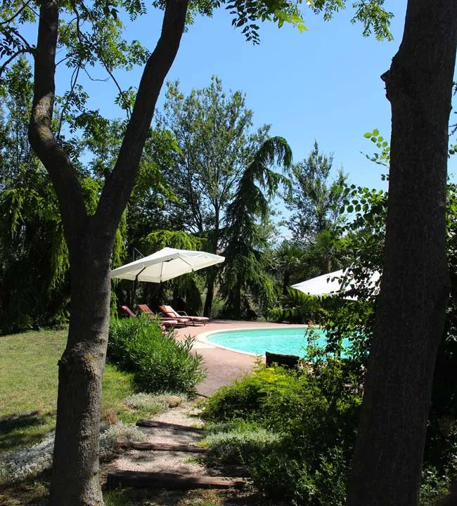 treia-pool