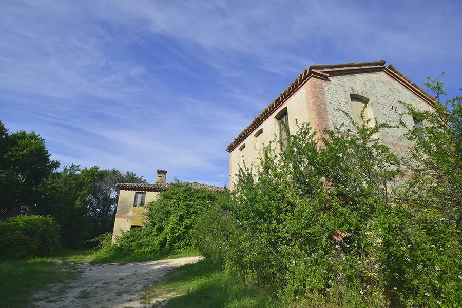 DSC0250-12