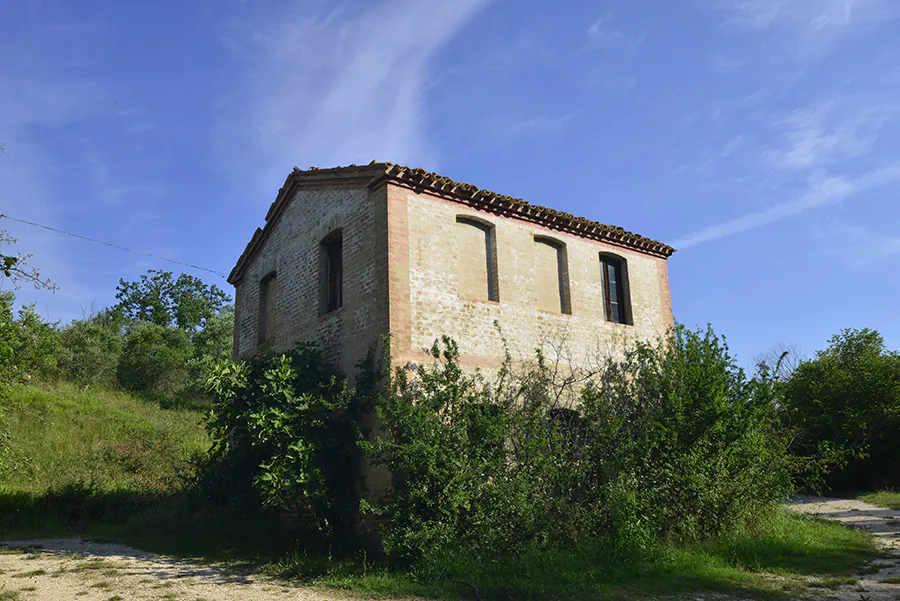 DSC0256-12
