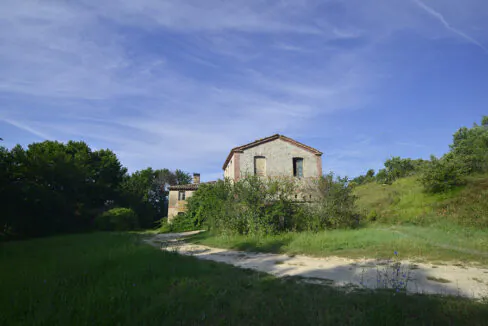 DSC0262-12