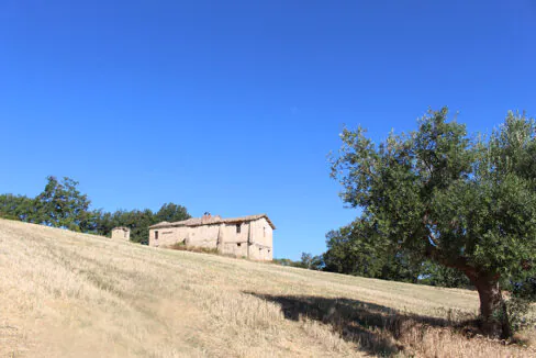 IMG_1693-6