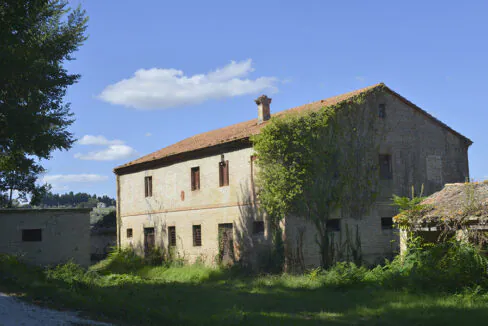 PNSETTE-12