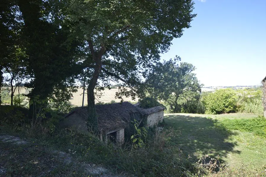 PNdue-e1551086425522-2
