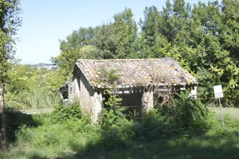 PNnove-e1550928986604-1