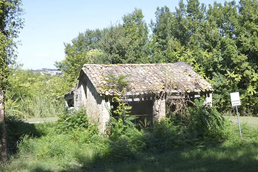 PNnove-e1550928986604-1