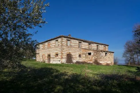 poldodosf-11