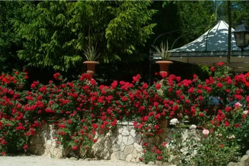 Villa-Rovere-estreni