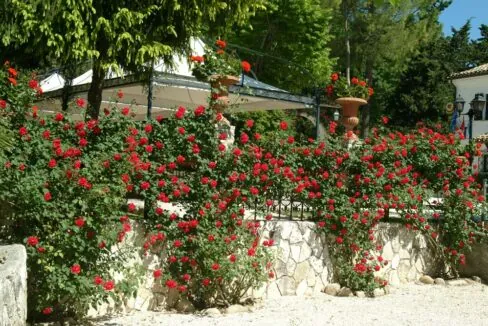 Villa-Rovere-rose