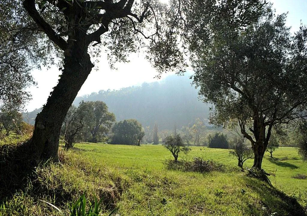casae-della-fonte-otto