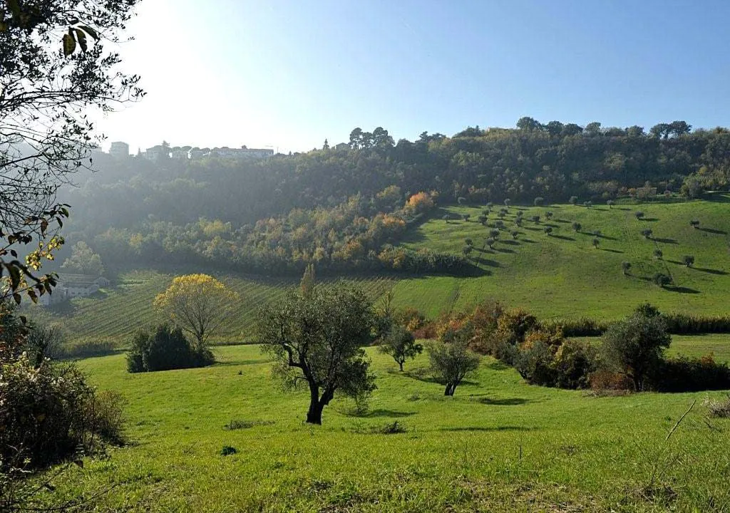casale-della-fonte-sette