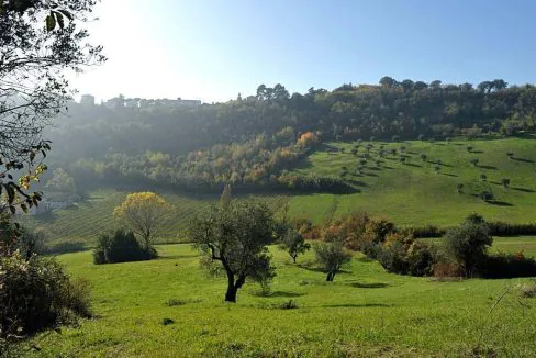 casale-della-fonte-sette