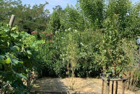 casale-roveresco-orto