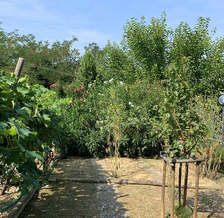 casale-roveresco-orto