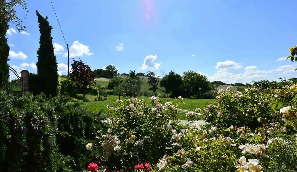 casale-fermo-rose