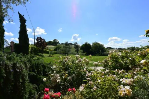 casale-fermo-rose