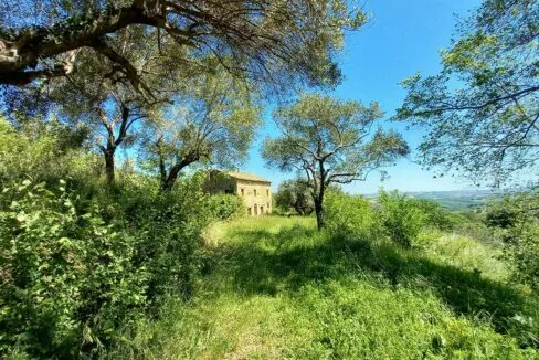 Sette-ettari-sfondo