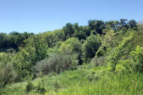 sette-ettari-bosco