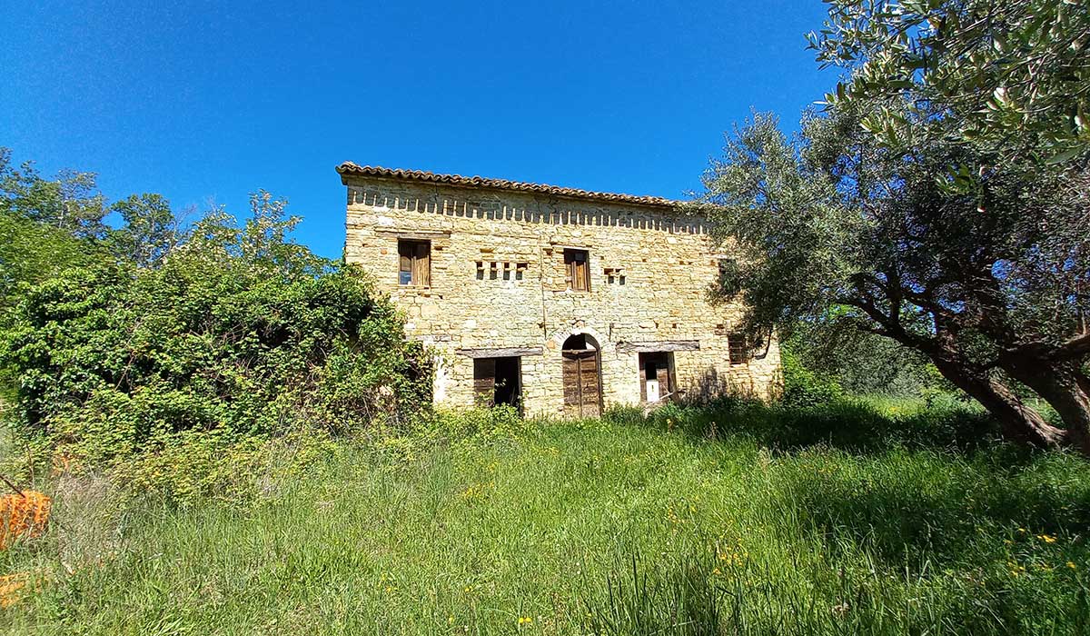 sette-ettari-fronte-casa