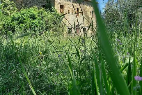 sette-ettari-garden