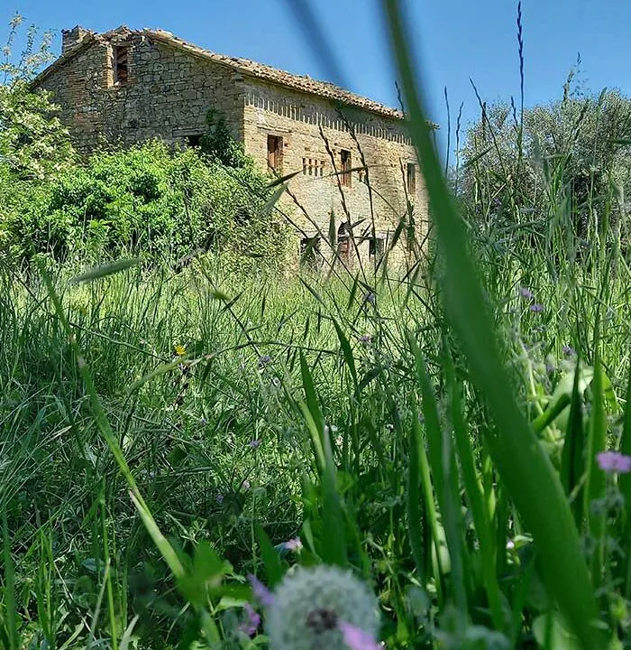 sette-ettari-garden