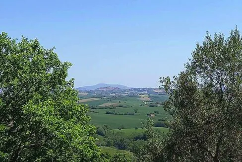 sette-ettari-panoramabello