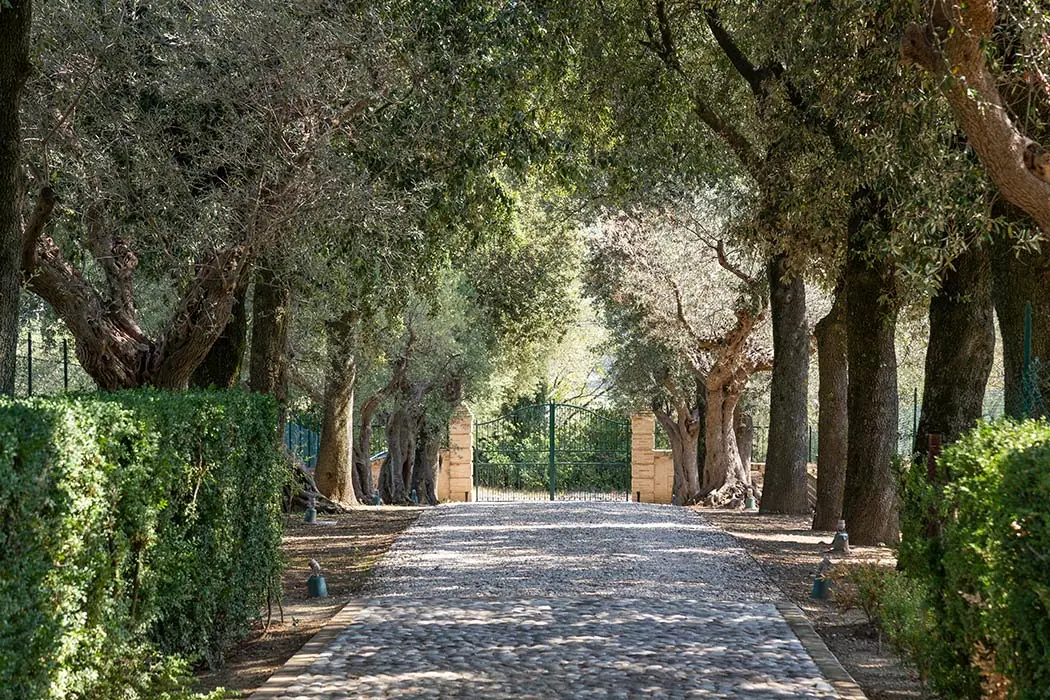 villa-marina-viale