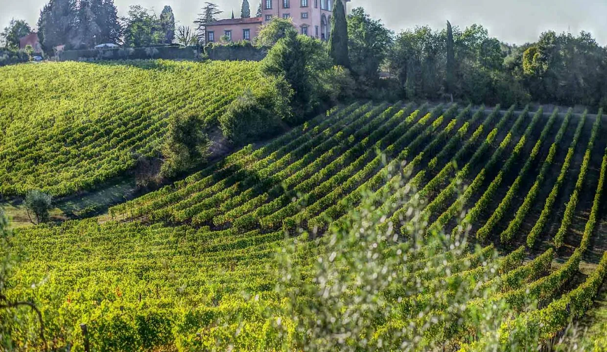 casali con vigna