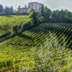 casali con vigna
