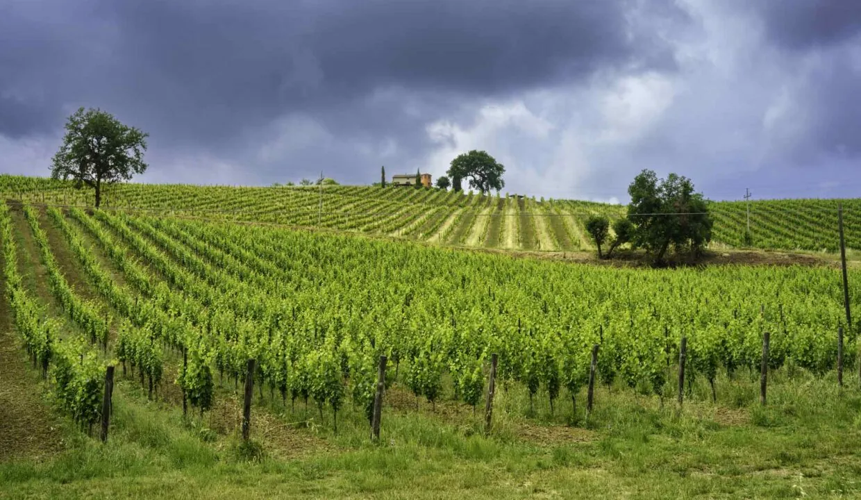 Casali in vendita in provincia di Fermo