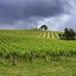 Casali in vendita in provincia di Fermo
