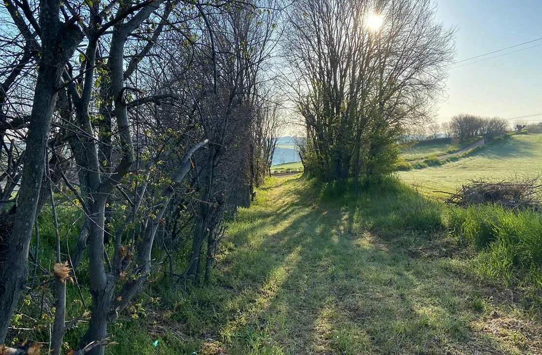 Casale-Miramonti-path