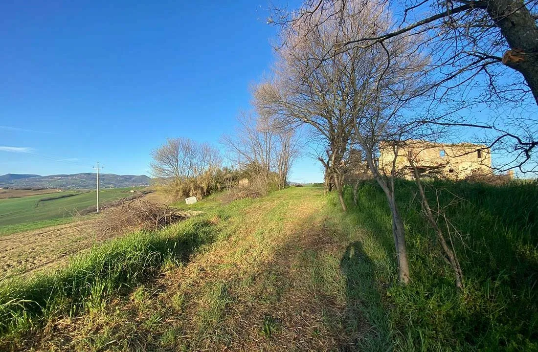 Csale-Miramonti-corte