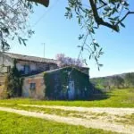tre casali da ristrutturare sui colli di Macerata