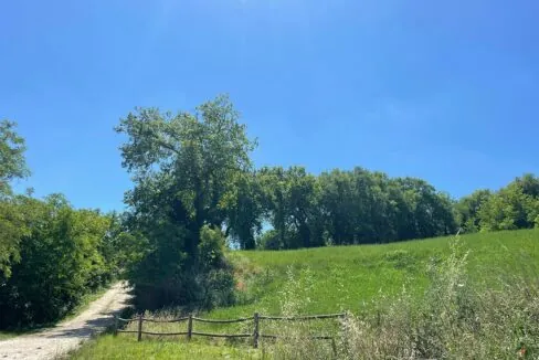 Cingoli-Smeraldo-ventidue