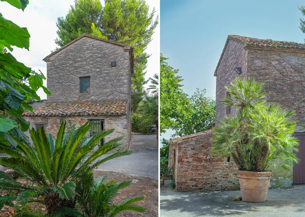Casa-nel-bosco-cinquantanove
