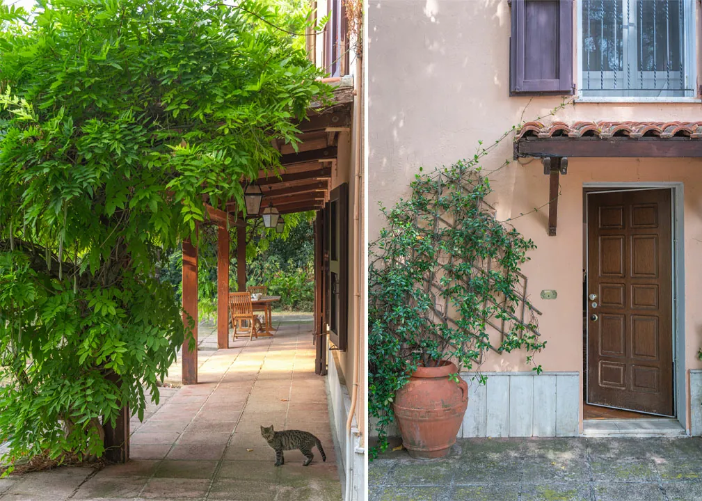 Casa-nel-bosco-cinquantotto