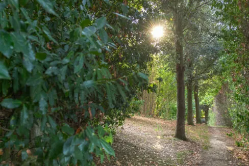 Casa-nel-bosco-quarantasei