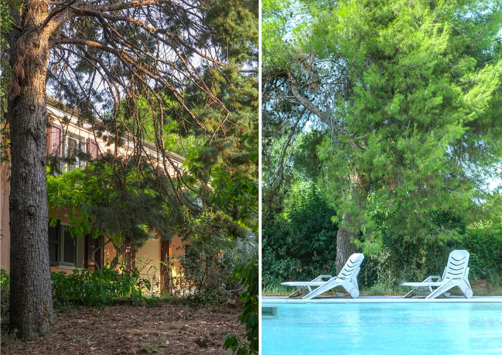 Casa-nel-bosco-sessanta