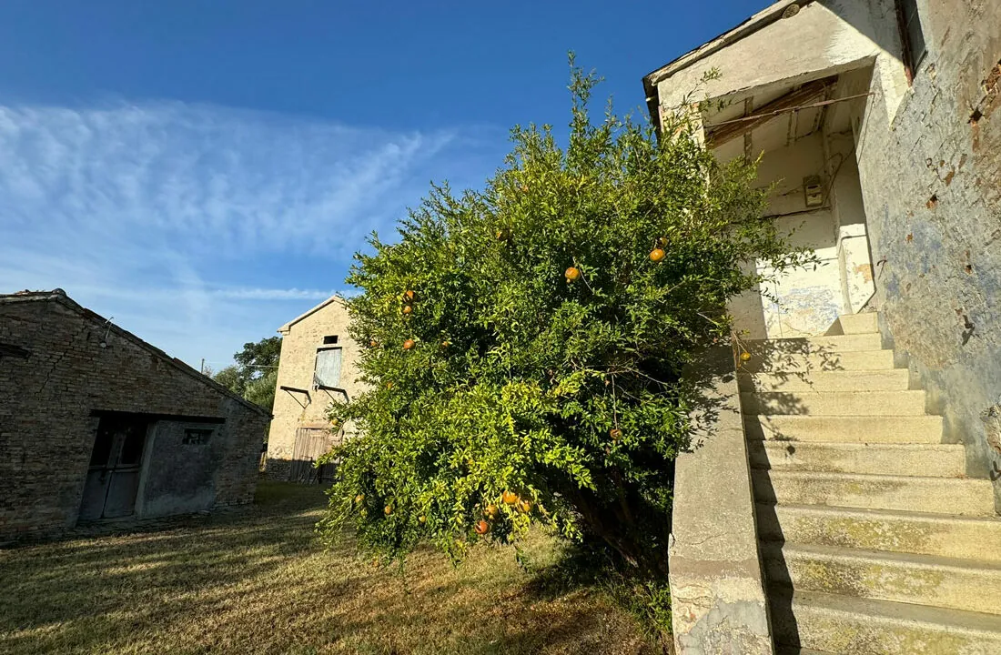 Casa-dodici