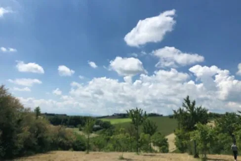 IMG-20190524-WA0003