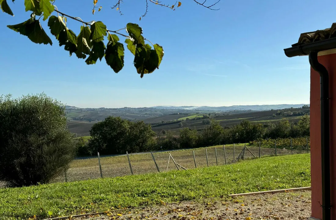 Maneggio-cinquantatre