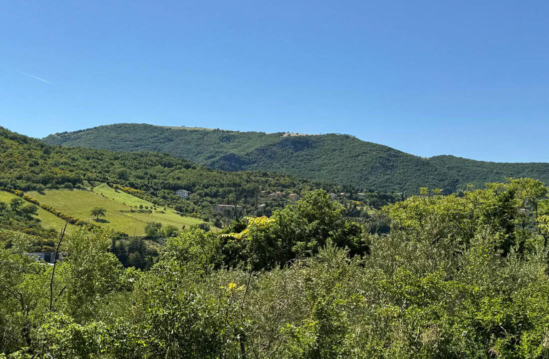 Poggio-san-Vicino-cinque