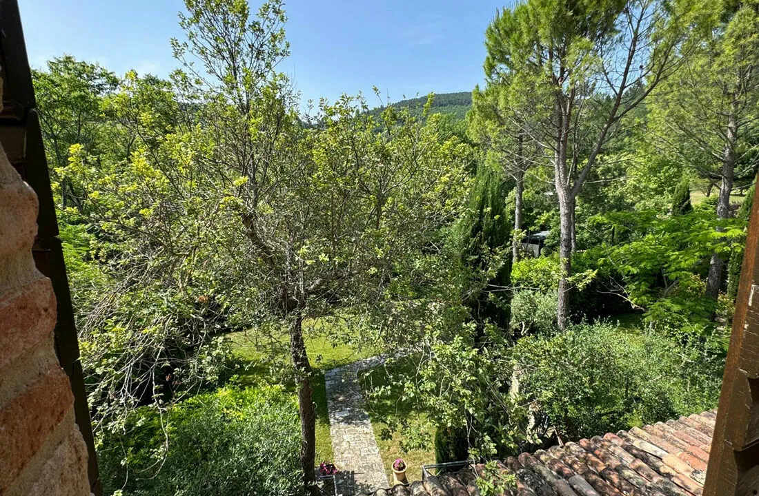 San-Lorenzo-cinquantasei
