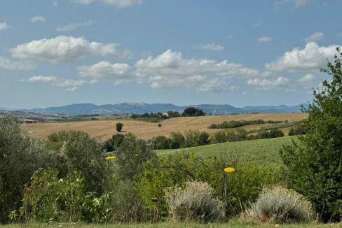 Santa-Maria-Nuova-diciassette