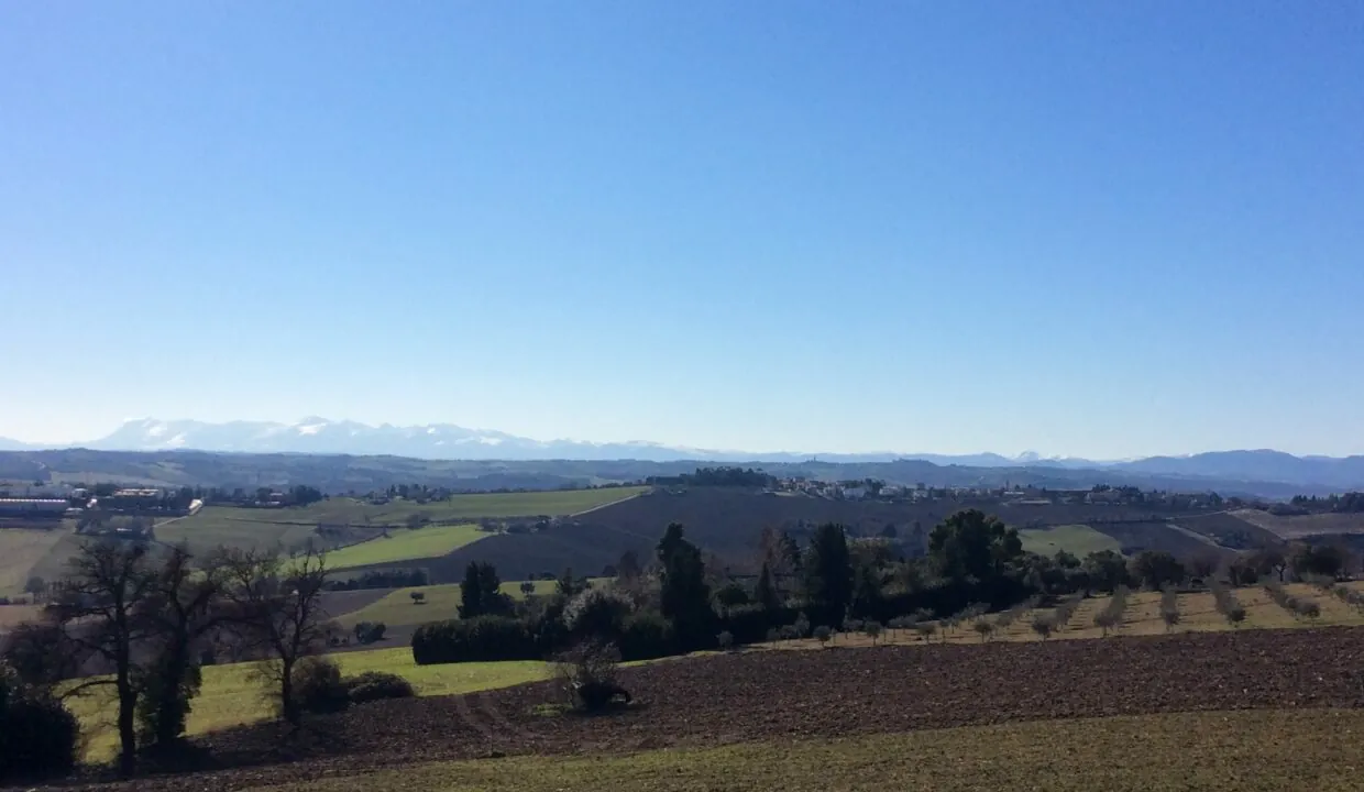 Panorama