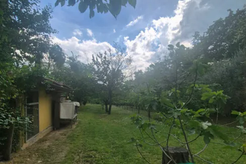 Monteguiduccio-diciannove