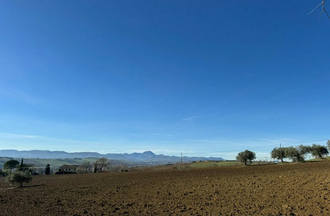 collina-undici
