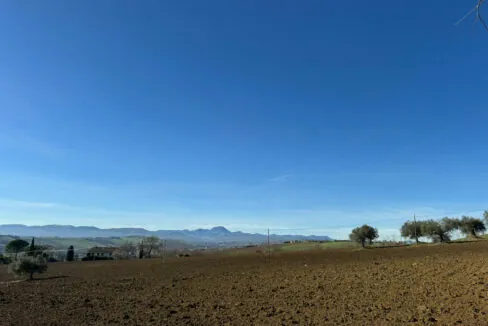 collina-undici