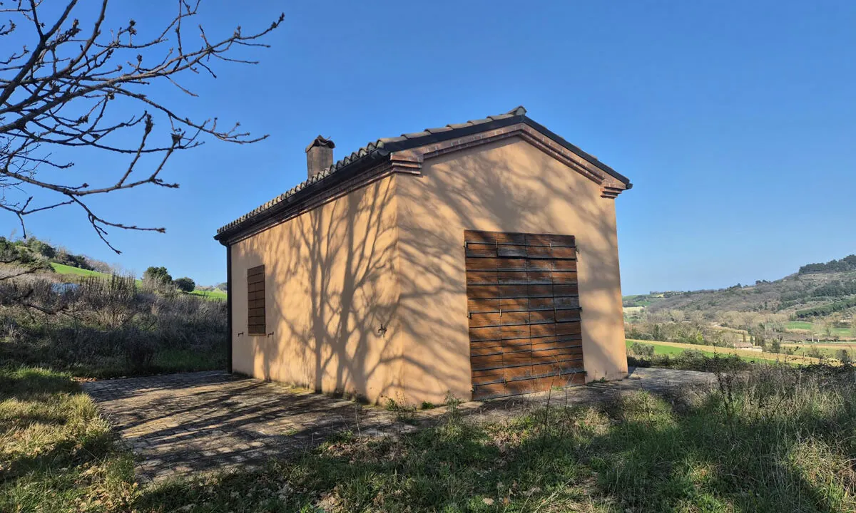 Romana-quattordici