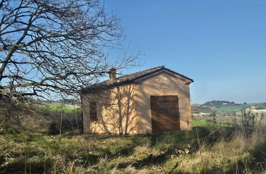 Romana-tredici